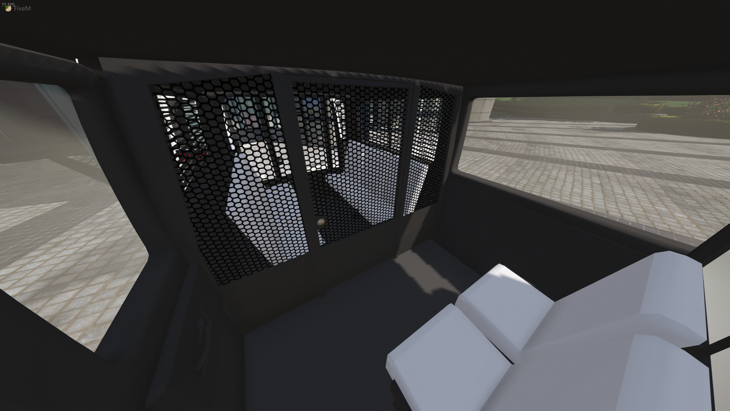 Ford E350 Prisoner Transport